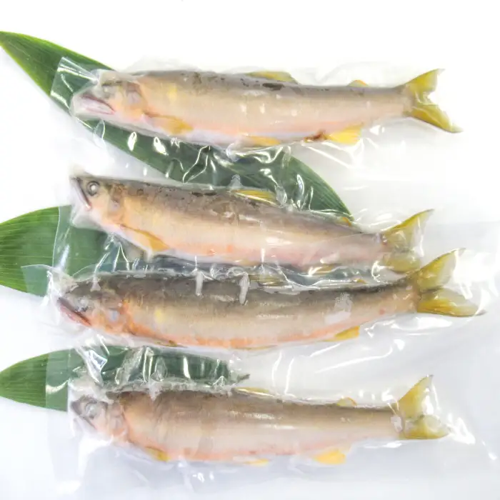 【一級河川・江の川の恵み】島根県産　天然冷凍鮎　約800g