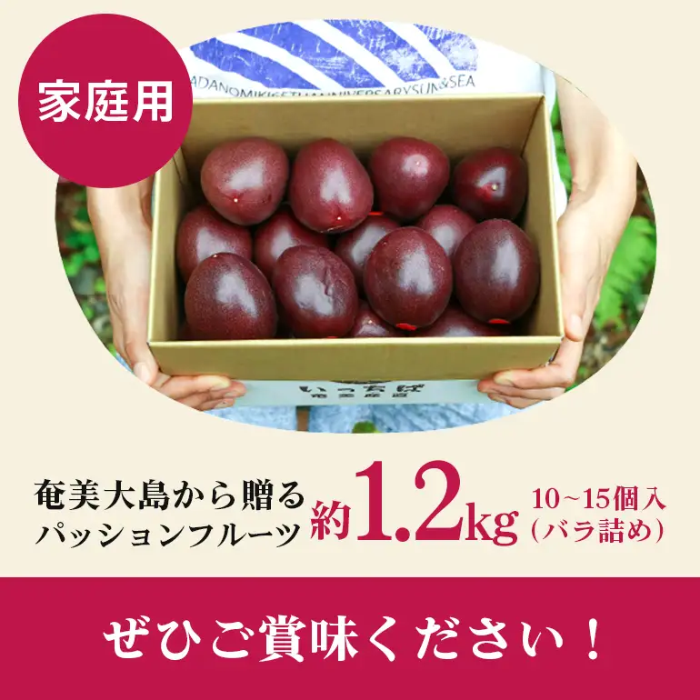 【2026年 観光雑誌付き】奄美産パッションフルーツ 甘酸っぱい果実 世界自然遺産の島の贈り物 約1.2kg 10～15個入（バラ詰め） A052-003
