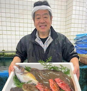 とれとれBox（4種前後 7～10匹）下処理可[ 鮮魚 旬 詰合せ 簡単料理 ] 魚介類 お魚 海鮮 海の幸 とれたて とれたての魚 新鮮 旬の魚 当日発送 季節の魚 魚料理 焼き魚 煮つけ お楽しみ  下処理なし