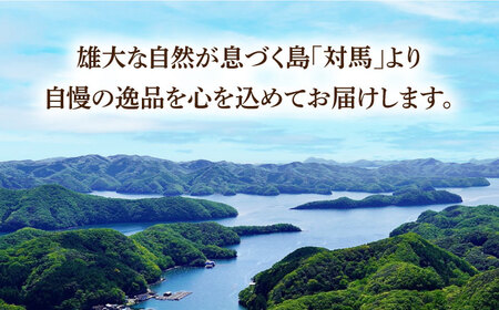 【全6回定期便】対馬 穴子 セット 500g [WAD039] 煮穴子 白焼き あなご アナゴ