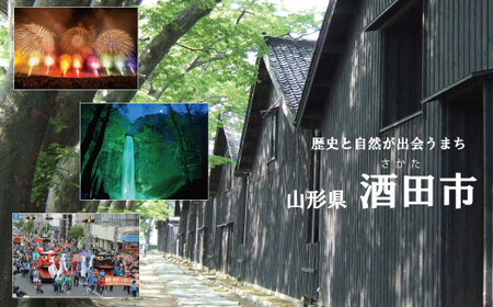 SA0016　庄内産わんぱくポーク　豚ヒレかたまり2本