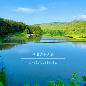 岩手県産 大粒厳選 ひとめぼれ 精米 10kg 【雫石八十八屋】 大粒 厳選 米 こめ コメ お米 白米 ライス ごはん ご飯 弁当 10キロ １０ｋｇ 国産 産地直送 農家直送 数量限定 仕送り お取り寄せ 贈り物 自宅用 家庭用 こだわり おいしい 美味しい グルメ フード 人気 おすすめ