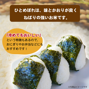 令和7年度産 ひとめぼれ 精米10kg3ヵ月定期便 ／ 岩手県産 国産 雫石町 産 農家 直送 産地 直送 白米 米 こめ コメ ごはん はくまい ライス らいす ご飯 穂々ファーム