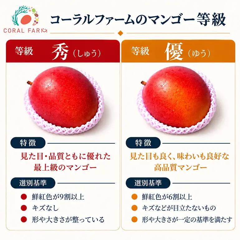 【 先行予約 2027年 発送 】コーラルファーム アップルマンゴー 2kg (4～6玉) 秀品 沖縄県産 マンゴー アーウィンマンゴー 2キロ 国産 完熟マンゴー 果物 くだもの フルーツ 完熟 夏 沖縄 お取り寄せ ギフト 産地直送 農家直送 糸満市