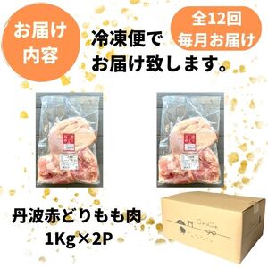 鶏肉 12回定期便 丹波赤どりもも肉 2kg×12回 計24kg 丹波山本 鶏肉 国産鶏肉 鶏肉 亀岡産鶏肉 訳あり鶏肉