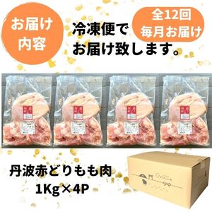 鶏肉 12回定期便 丹波赤どり もも肉 1kg×4パック×12回 丹波山本 鶏肉 国産鶏肉 鶏肉 亀岡産鶏肉 訳あり鶏肉
