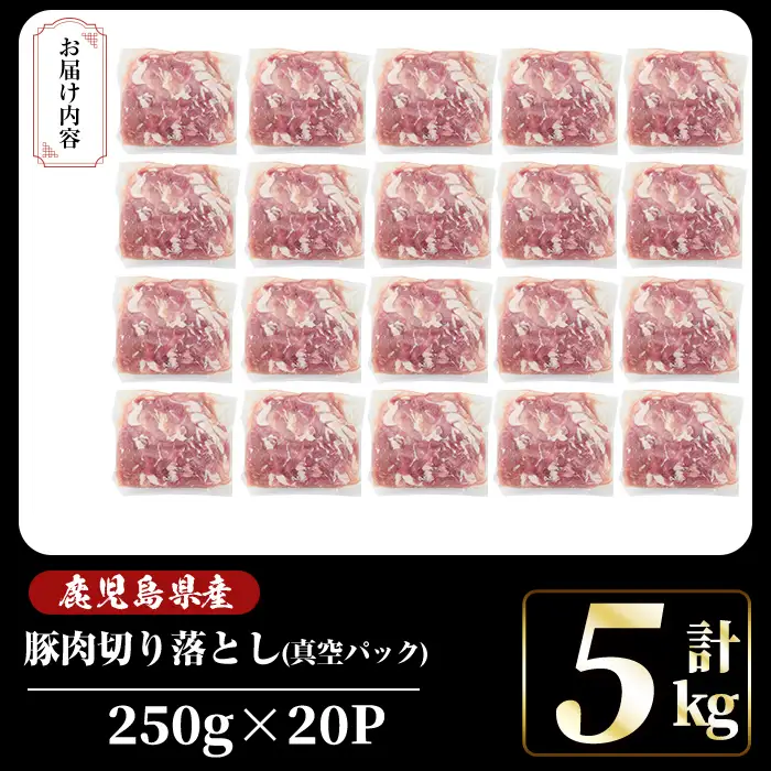 豚肉 切り落とし 小分け 250g×20P 計5kg【肉の豊楽】A5-033-D