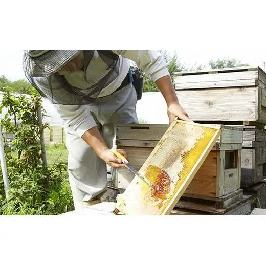 【熟成生はちみつ】信州産はちみつ　２本セット　（あかしあ・百花　信州）
