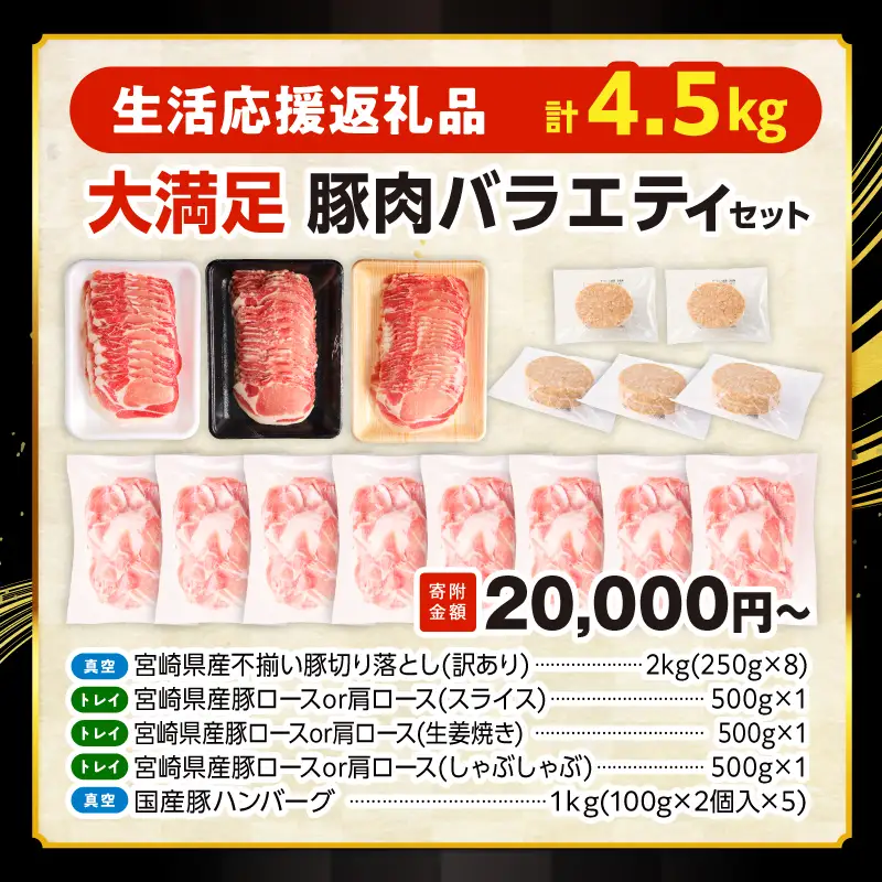 豚肉 セット 豚肉[バラエティセット 4.5kg ロース ハンバーグ]