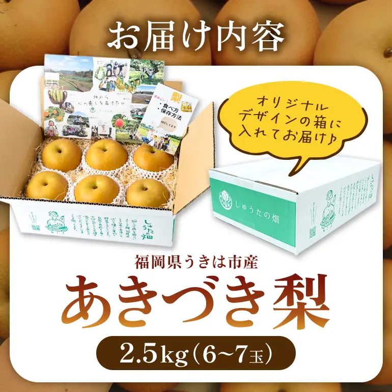 【ふるさと納税】【先行予約】しゅうたの畑 希少品種 あきづき梨 6玉から7玉  【2026年9月上旬より順次発送予定】 梨 なし ナシ あきづき 果物 くだもの フルーツ 果実 ジューシー 産直農園 お取り寄せ 送料無料 福岡県 うきは市 常温