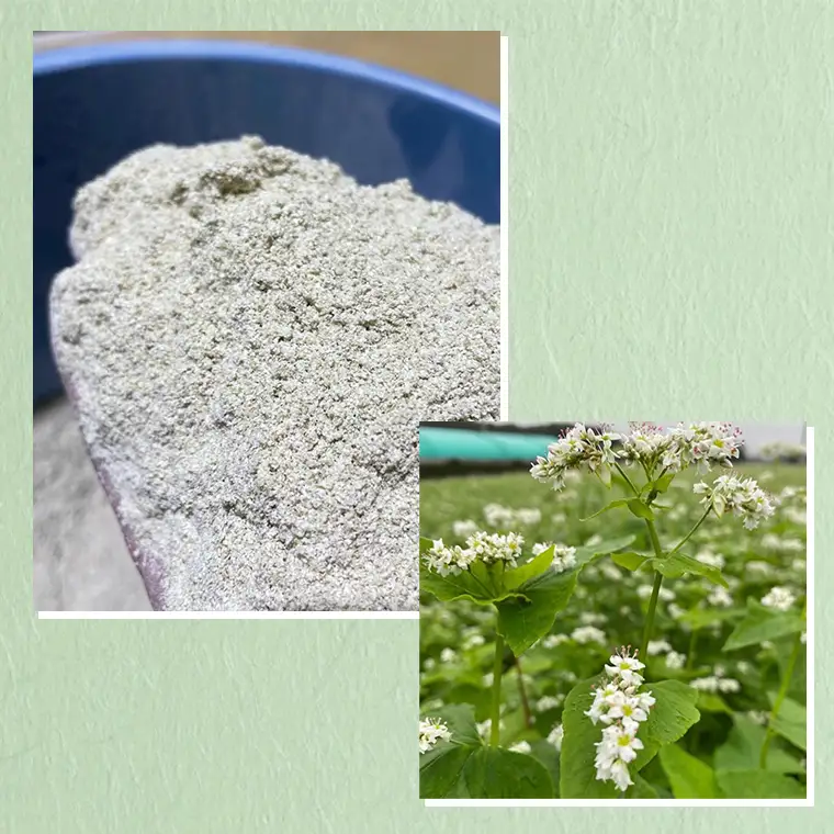 常陸秋そば 生そば 田舎そば せいろ 食べ比べセット 約 12人前 300g×6 蕎麦 生めん 田舎そば せいろ [BI005sa]
