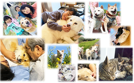 【返礼品なし】【犬猫等愛護活動 犬と猫と人にとって住みよい社会づくりを応援】宮崎県 高原町 特定非営利活動法人 咲桃虎(さくもんと)　TF3000-P00056