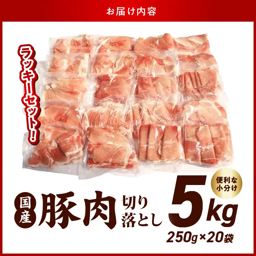 国産豚肉切り落とし5kgラッキーセット〔19-3601〕豚肉 _(都城市) 250g×20袋 5kg 
