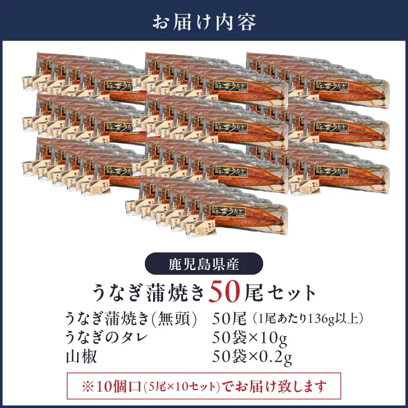  2120 鹿児島県産 うなぎ蒲焼 50尾 KN058-002-50 魚 冷凍 鰻