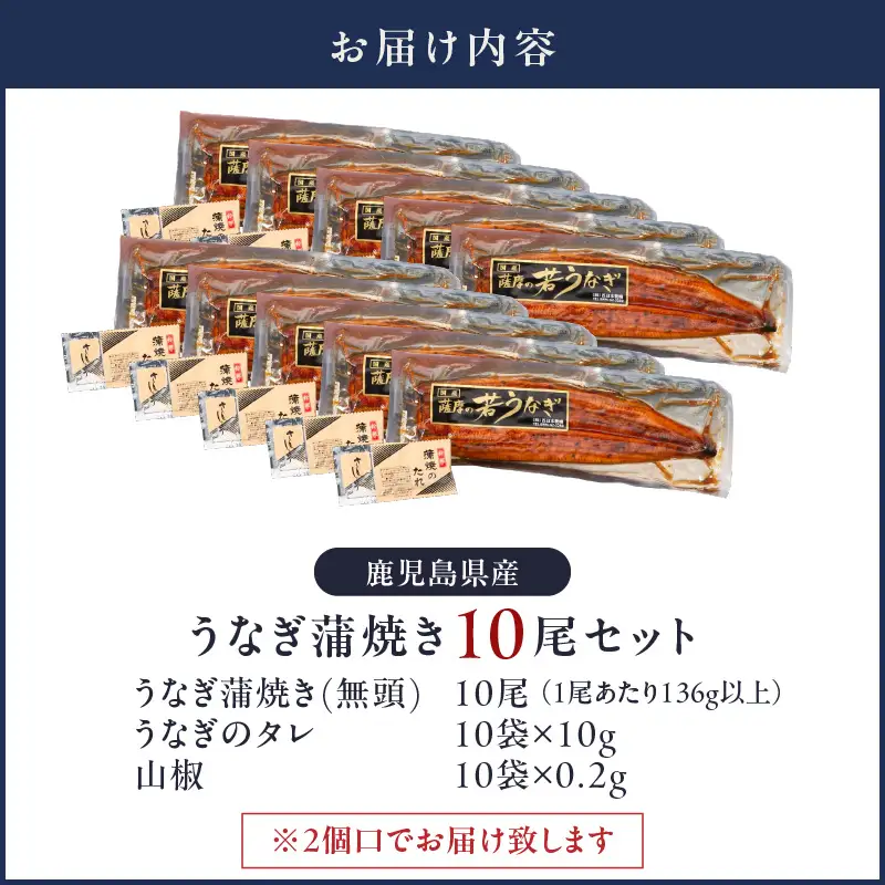  2125 鹿児島県産 うなぎ蒲焼き 10尾 KN058-002-10 魚 冷凍 鰻