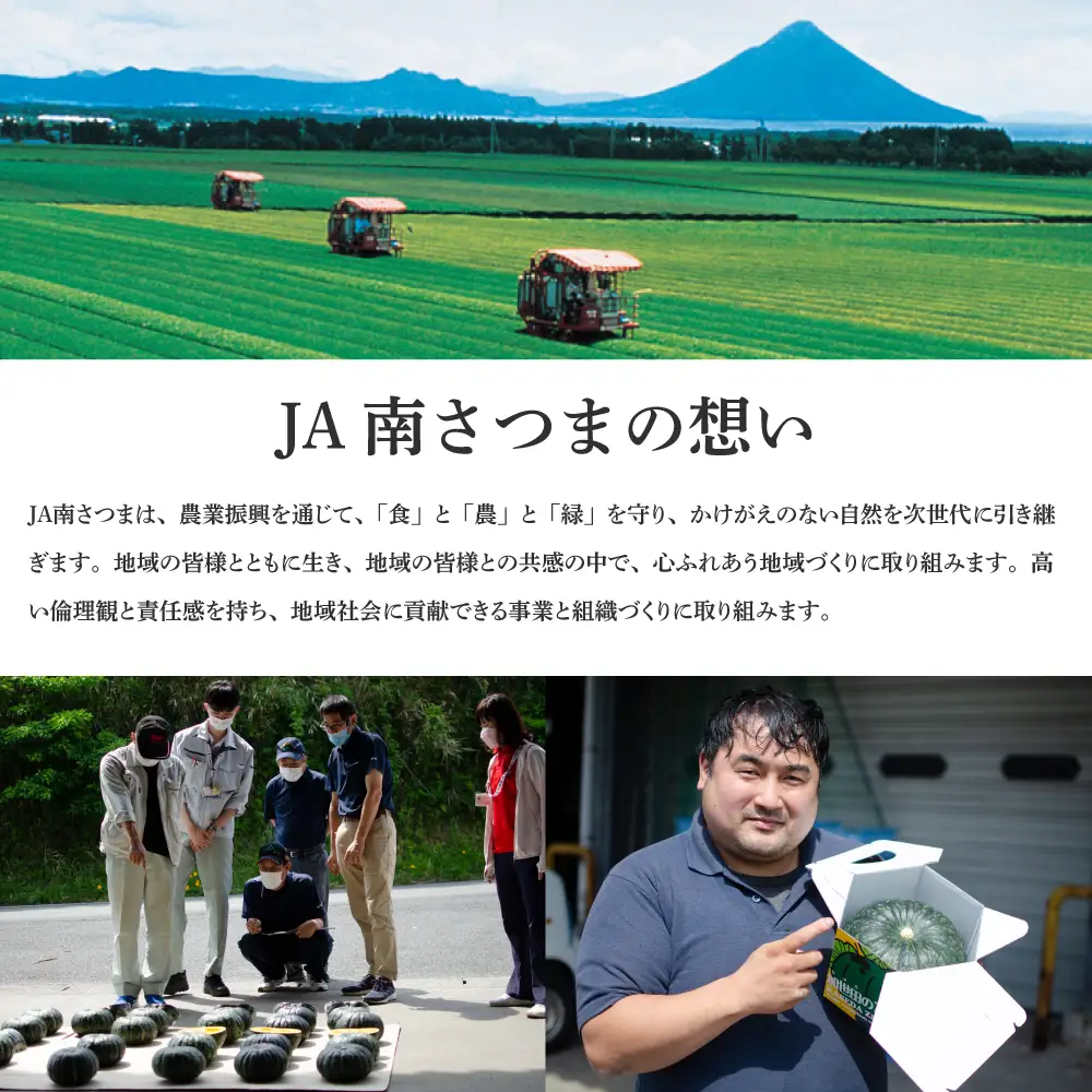 【鹿児島県産】生さつまいも「紅はるか」約5kg ★11月以降順次出荷★ 冬季限定 先行受付 さつまいも 生いも 生芋 焼き芋 さつま芋 甘藷 サツマイモ べにはるか スイーツ 野菜 貯蔵 常温保存 旬 JA南さつま 鹿児島県 南さつま市