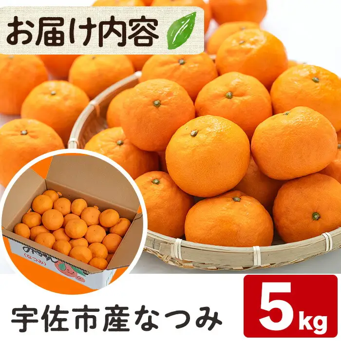 ＜先行予約受付中！2026年4月下旬から9月上旬順次発送予定＞なつみ(約5kg)ハウス 樹成 完熟 みかん 蜜柑 柑橘 かんきつ フルーツ 果物 くだもの【111600200】【永木農園】