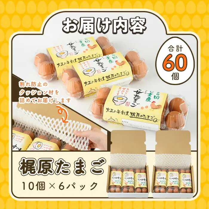 梶原たまご(計60個・10個×6P) 卵 玉子 鶏卵 卵かけご飯 玉子焼き【108800200】【カジワラファーム】