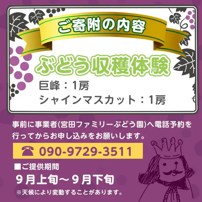 ＜先行予約受付中！2026年8月上旬以降順次発送予定＞ぶどう収穫体験(巨峰1房、シャインマスカット1房)体験 収穫体験 巨峰 シャインマスカット ぶどう 葡萄 フルーツ 果物 くだもの【100702700】【宮田ファミリーぶどう園】