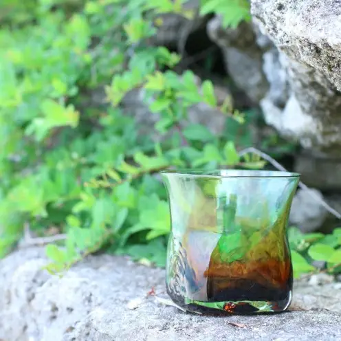 【RYUKYU GLASS WORKS 海風】ロックグラス（ガジュマル）