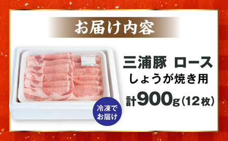 三浦豚 豚肉 ロース900ｇ（生姜焼き用） / 恵那市 / あづま精肉店 [AUDL003]