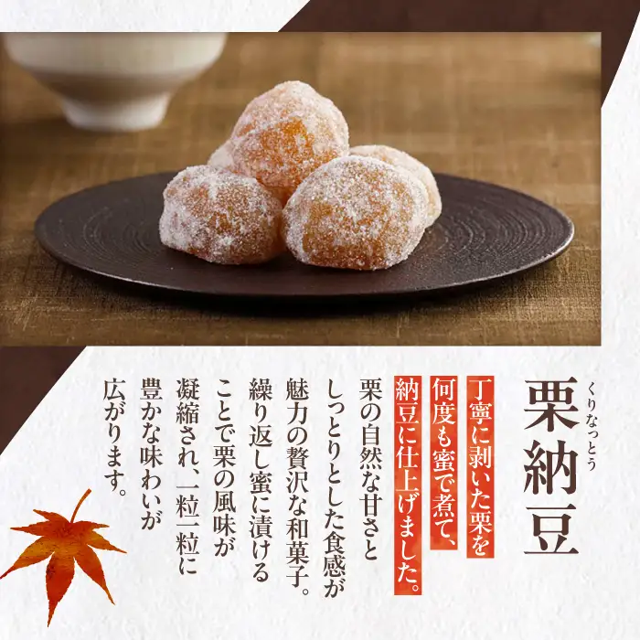 【季節限定】栗の贈り物 6種 計12個 / 恵那市 / 恵那寿や [AUAS005]