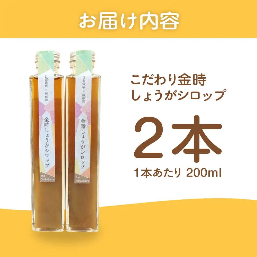 こだわり金時しょうがシロップ 200ml×2本 ギフトセット / 恵那市 / てらぼら農園 [AUDZ001]