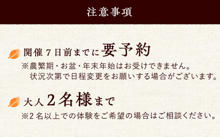 紅茶 づくり 体験 と 民泊 あたんせ 宿泊 プラン（クーポン付き）（2名様まで）ティー  [WBE011]