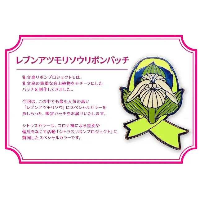 礼文産 塩水ウニ キタムラサキウニ 100g×2(ピンバッジ付) うに
