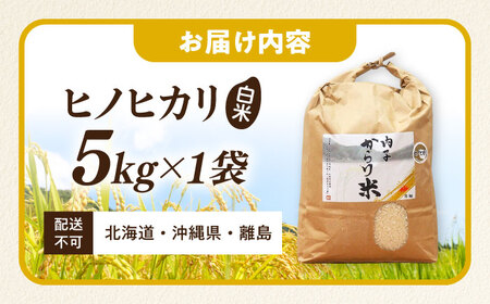 内子からり米 令和7年産ヒノヒカリ 5kg（精米5kg×1袋） BKAD092 お米