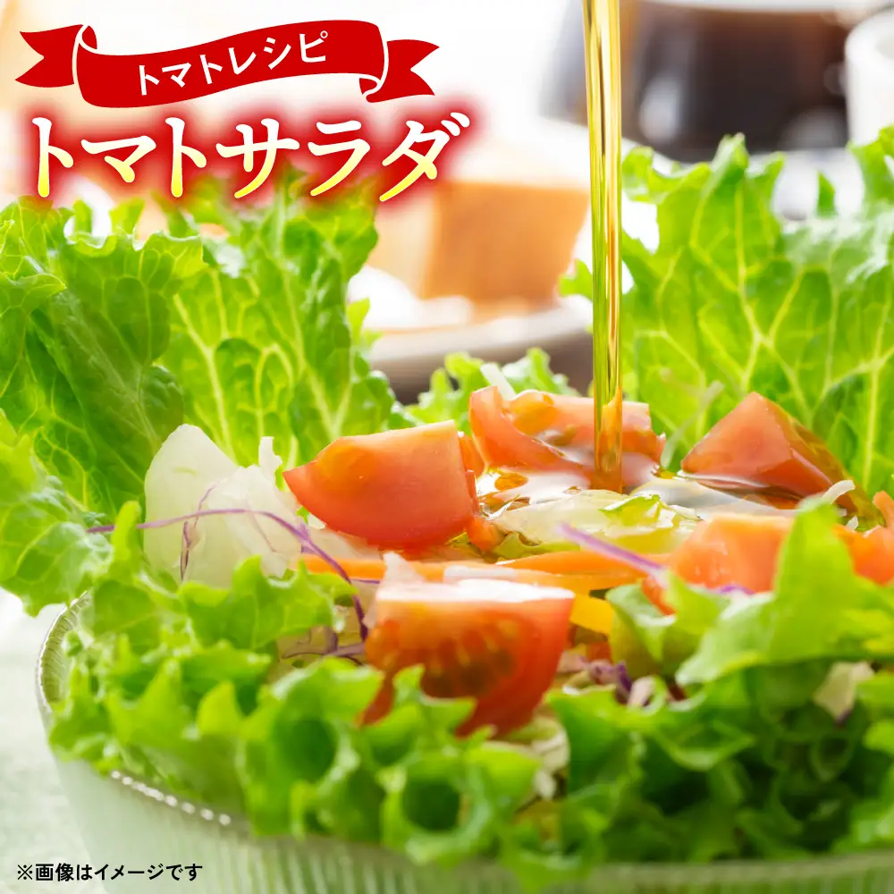 トマト 【先行予約】 訳ありトマト 約4.5kg 【2027年4月中旬より順次発送】 トマト