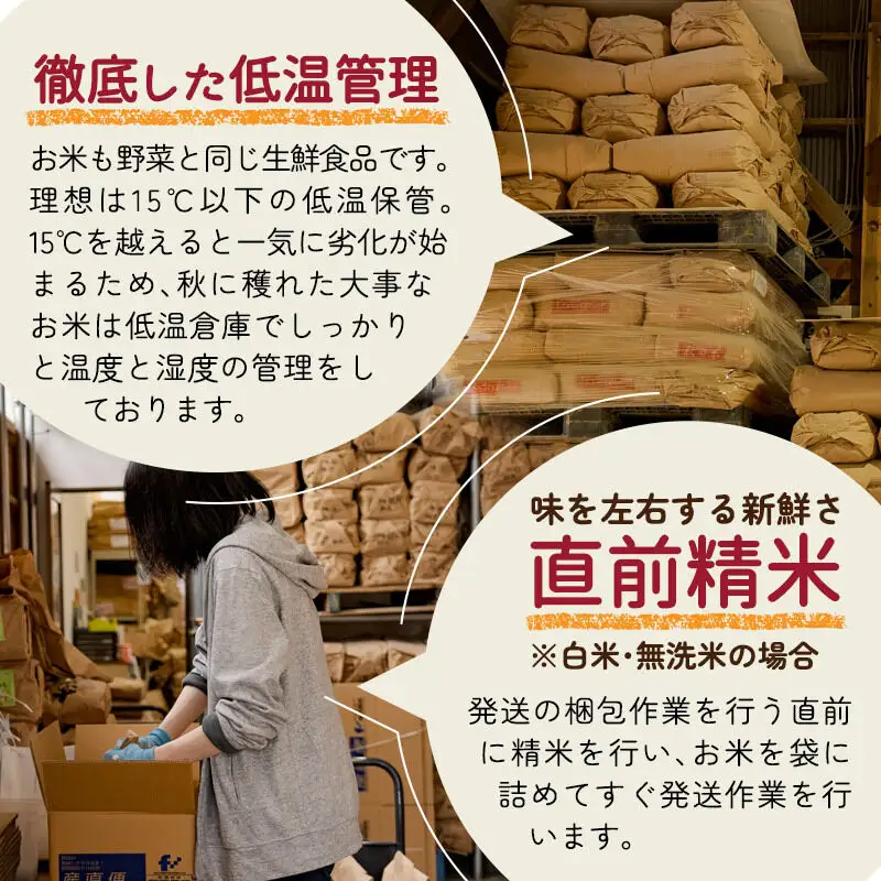 《令和8年産 新米受付》《1回のみお届け》【無洗米】通算5回特A 秋田県産ひとめぼれ 20kg(5kg×4袋) お米 米 こめ 藤岡農産