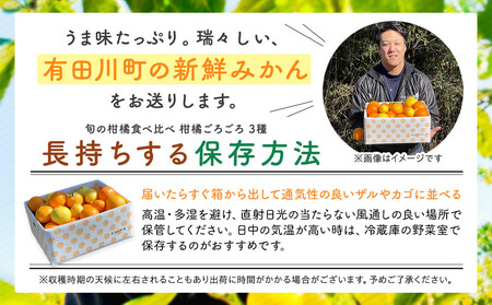 旬の柑橘食べ比べ 柑橘ごろごろ 3種 箱込 10kg(内容量約 9.2kg) 秀品 優品 混合 和歌山県産 産地直送【みかんの会】