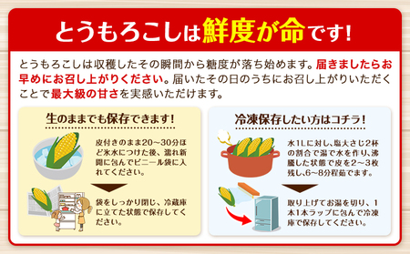 北海道産 オーガニック とうもろこし 10本 伊場ファーム 