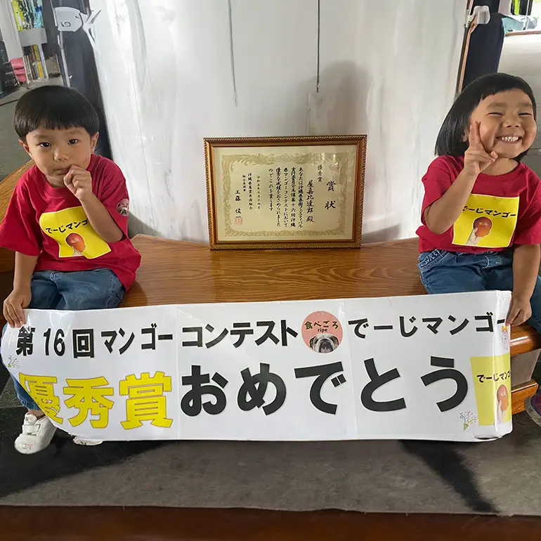 【 先行予約 2026年 発送 】 令和5年度優秀賞受賞 でーじマンゴーの アップルマンゴー 2kg ( 秀品) マンゴー アップルマンゴー アーウィンマンゴー 2キロ フルーツ 果物 ギフト 沖縄県産 国産 完熟マンゴー くだもの 産地直送 農家直送 糸満市 26-2
