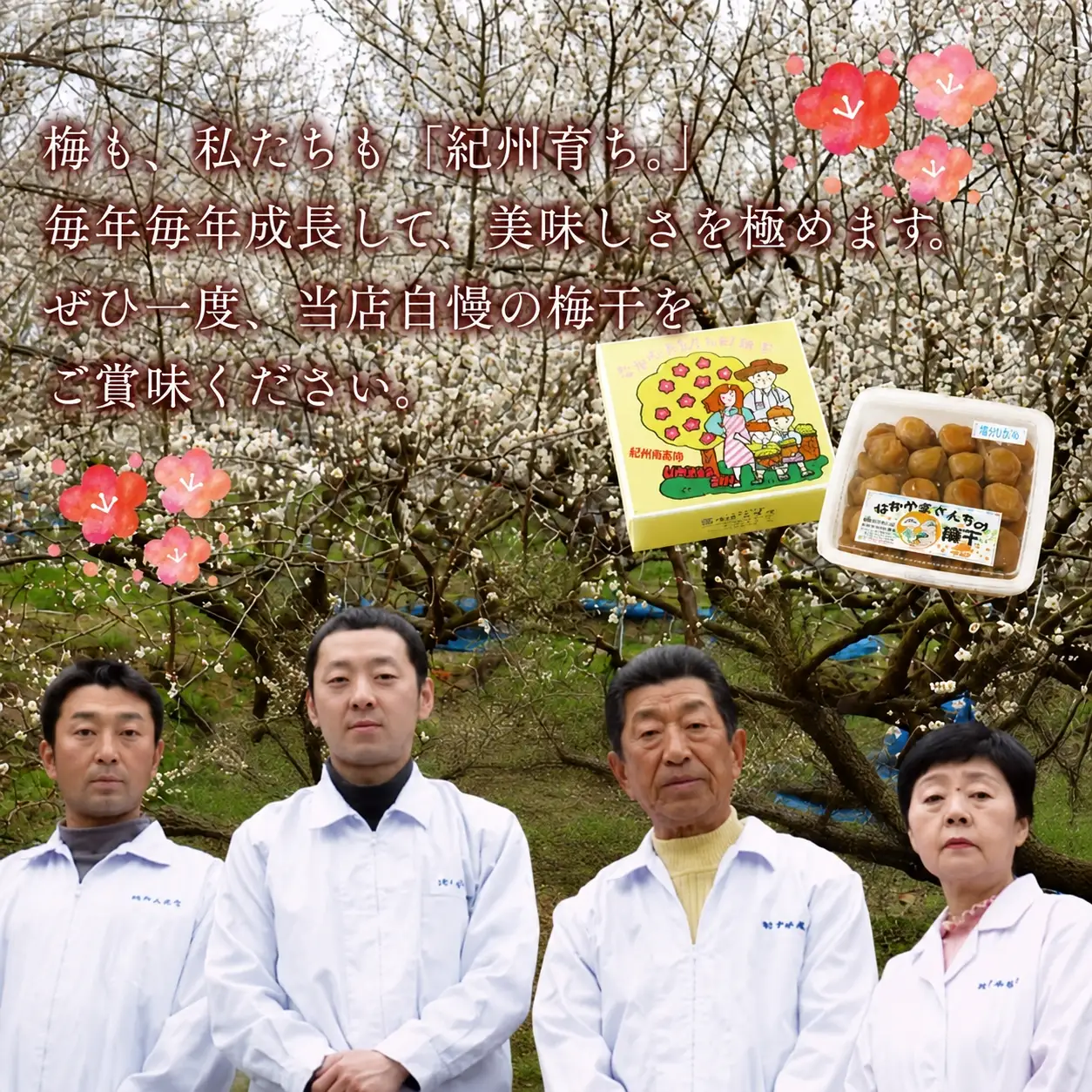 紀州南高梅　うす塩【ハチミツ入】 塩分5%（750g）なかやまさんちの梅干 うめ ウメ 梅干し【nky005-175k】