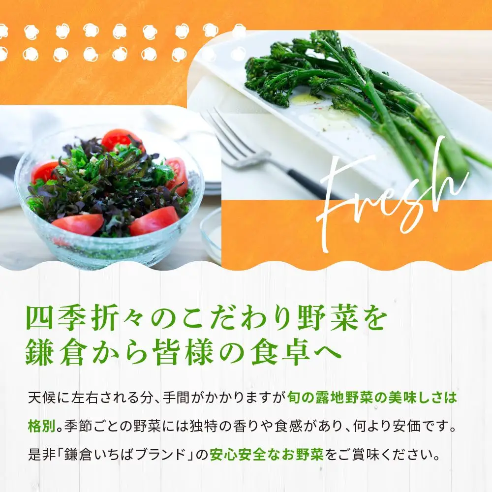 【ふるなびWEEK対象】「鎌倉いちばブランド」新鮮お野菜詰め合わせセット 10～15品 | 野菜 人気 詰合せ