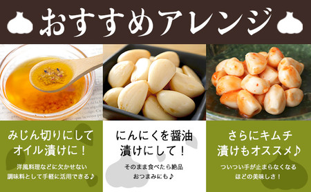 乾燥にんにく 1kg みふね有機の里《30日以内に出荷予定(土日祝除く)》熊本県 御船町 国産 御船町産 有機JAS認定 ガーリック 野菜 有機にんにく 熊本県御船町
