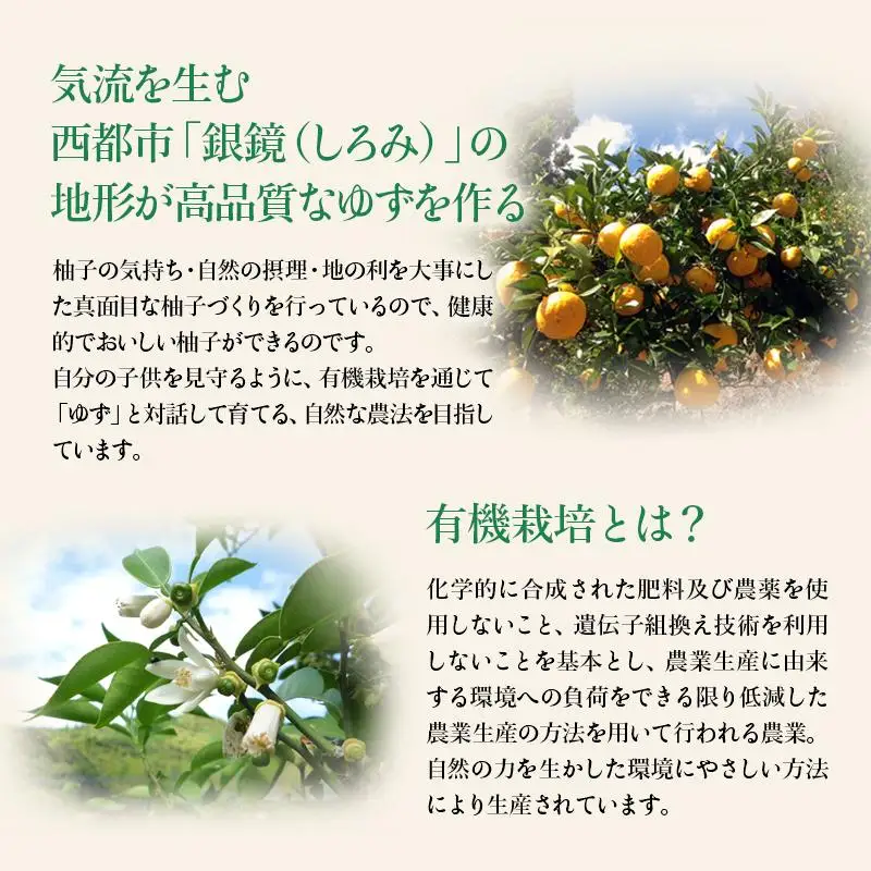 「銀の柚子」生ゆずまるごと搾りセット　果汁100％ 小分け かぐらの里＜4-6a＞