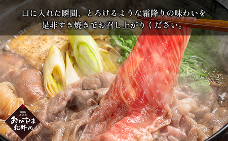 和牛 定期便 9ヶ月 おかやま 和牛肉 A4等級以上 食べ比べ 毎月 約450g×9回