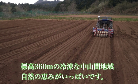 粉末 紫菊芋 はと麦茶 ５０グラム入り×２袋 ／ Total Beauty 春 からだよろこ美 ノンカフェイン 無添加 お茶 国産 パウダー ホット アイス 奈良県 宇陀市 紫菊芋