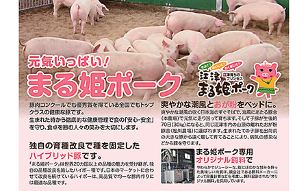 5カ月定期便 まる姫ポーク　ヒレ・ブロック（約550g×2）・ロース・スライス（300g×3）約2kg以上【AK-42】｜送料無料 国産 まる姫ポーク 豚肉 ぶた肉 肉 ヒレブロック ヒレ ローススライス ロース BBQ 定期便 小分け パック 江津市｜