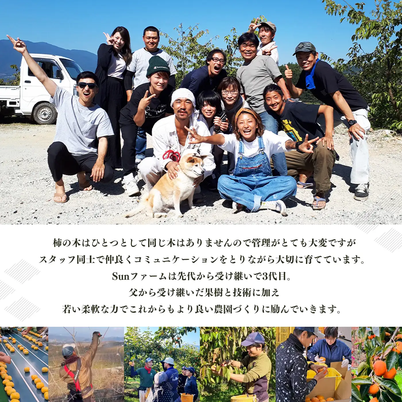 ［Sunファーム］訳あり 富有柿 ご自宅用（約7.5kg入） | フルーツ くだもの 果物 柿 かき カキ 富有柿 奈良県 五條市 訳あり 日本一の柿のまち 秋の味覚 自宅用 家庭用 特産品 果物