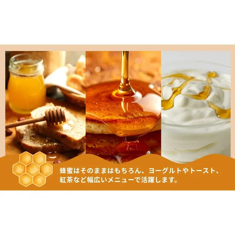 はちみつ 高級蜂蜜 国産100％ 熟成蜂蜜 レンゲ はちみつ