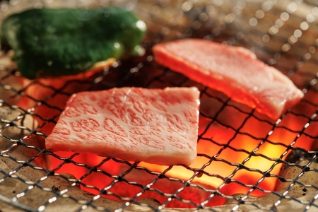 【近江牛定期便【彩の会】全6回】肉 牛肉 ステーキ サーロイン 肩ロース すき焼き モモ ブランド牛 三大和牛 和牛 黒毛和牛 冷凍 贈り物 ギフト プレゼント 滋賀県 竜王