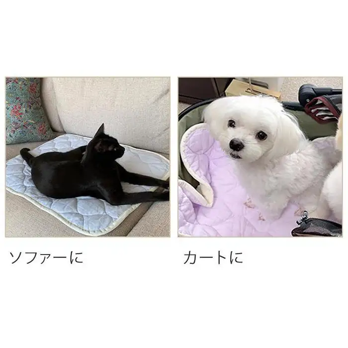 【M 65×50cm】2枚組コットン100%ペット用マット PET-6550-2P