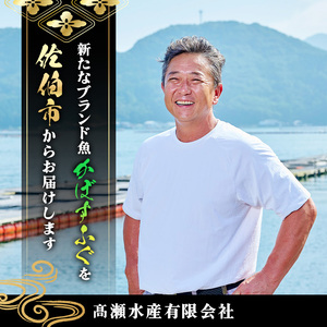 ＜先行予約受付中！2026年11月より発送開始予定＞かぼすふぐ刺身(4-5人前)ふぐ フグ 刺身 皮 ひれ 薬味付き カボス【GP010】【高瀬水産】