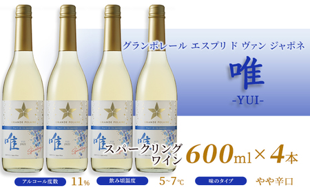 ワイン 飲み比べセット グランポレール 絢 泉 唯 ワイン 飲み比べセット 【12本】
