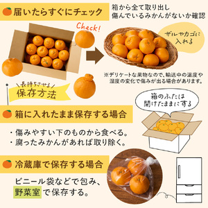 むなかた温州みかん 3kg 【2026年10月下旬～12月発送】【JAほたるの里】_HA1346