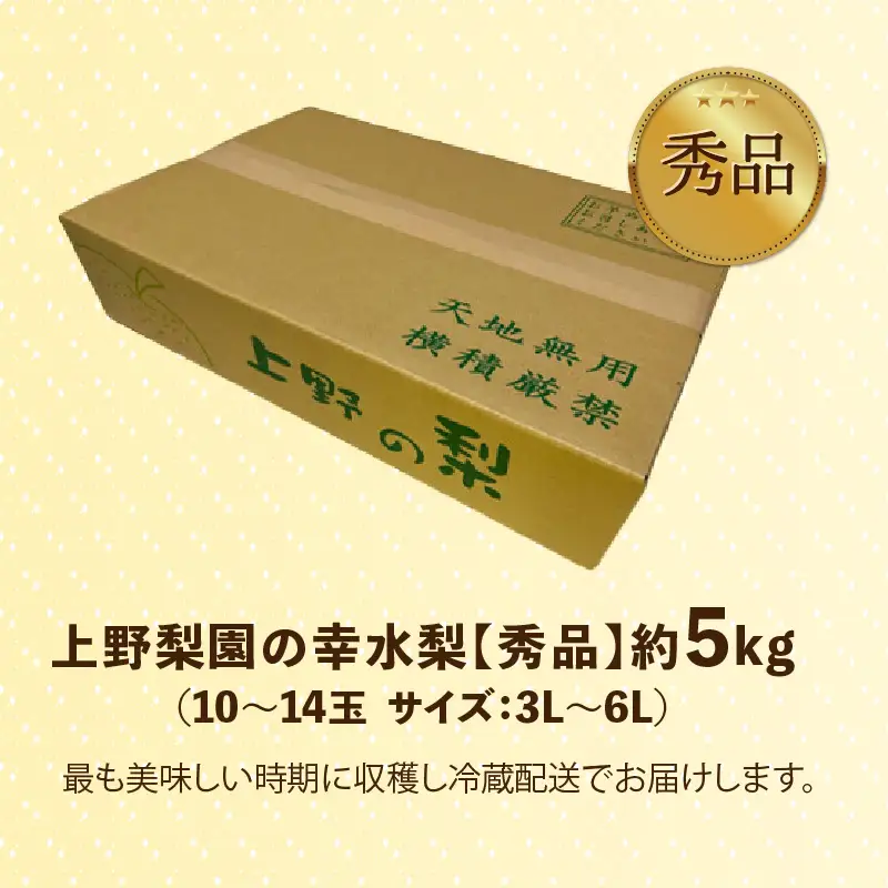 【先行予約】上野梨園の幸水梨 10～14玉入 約5kg  3L～６L【秀品】《数量限定》梨園直送！ / 期間限定 果物 フルーツ 農家直送 シャキシャキ もぎたて 旬 お取り寄せ ※2027年8月下旬より順次発送 [aw077-a020]